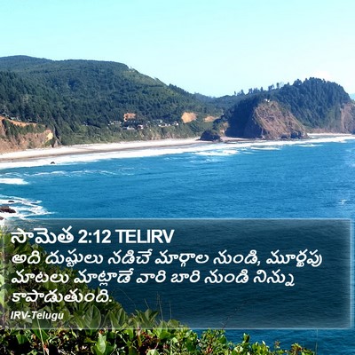సామెత 2:12 TELIRV Bible Verse Image