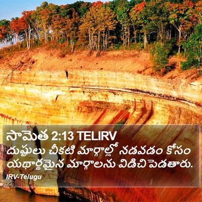 సామెత 2:13 TELIRV Bible Verse Image