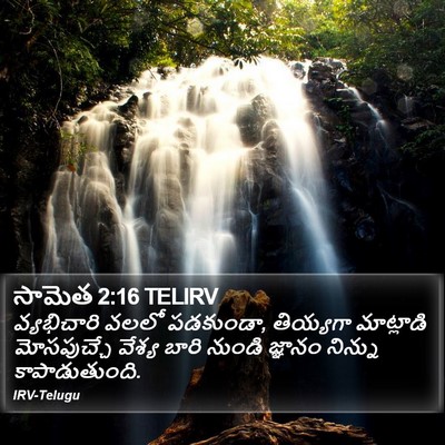 సామెత 2:16 TELIRV Bible Verse Image