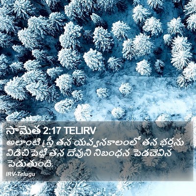 సామెత 2:17 TELIRV Bible Verse Image