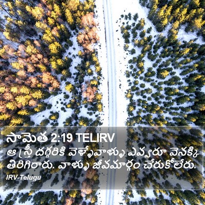 సామెత 2:19 TELIRV Bible Verse Image
