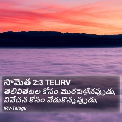 సామెత 2:3 TELIRV Bible Verse Image