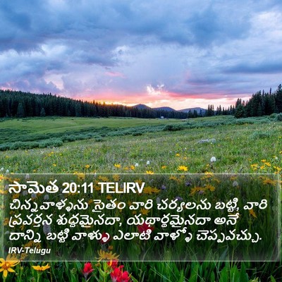 సామెత 20:11 TELIRV Bible Verse Image