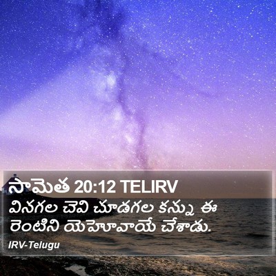 సామెత 20:12 TELIRV Bible Verse Image