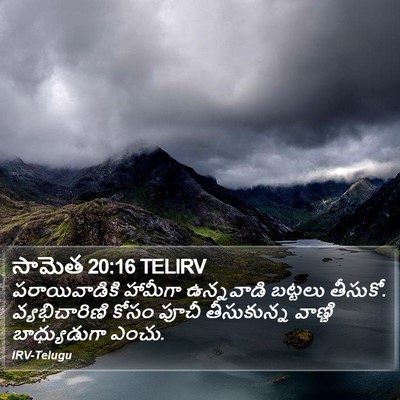 సామెత 20:16 TELIRV Bible Verse Image