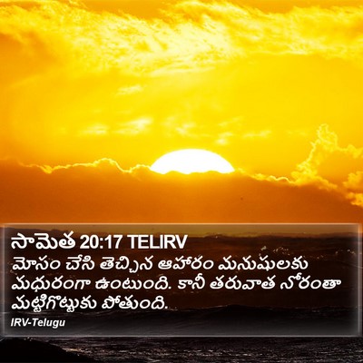 సామెత 20:17 TELIRV Bible Verse Image