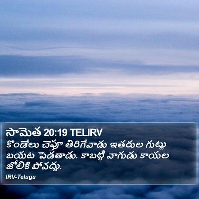 సామెత 20:19 TELIRV Bible Verse Image