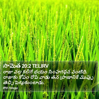 సామెత 20:2 TELIRV Bible Verse Image