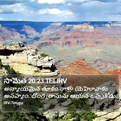 సామెత 20:23 TELIRV Bible Verse Image