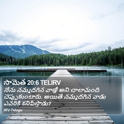 సామెత 20:6 TELIRV Bible Verse Image