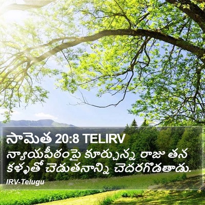 సామెత 20:8 TELIRV Bible Verse Image