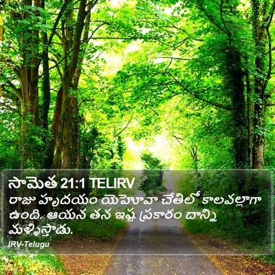 సామెత 21:1 TELIRV Bible Verse Image