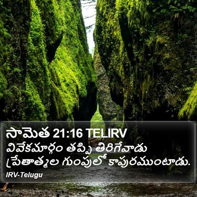 సామెత 21:16 TELIRV Bible Verse Image