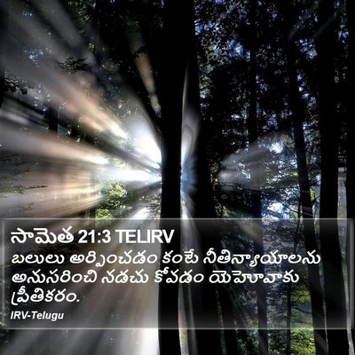 సామెత 21:3 TELIRV Bible Verse Image