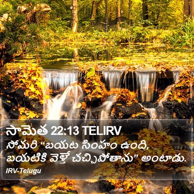 సామెత 22:13 TELIRV Bible Verse Image