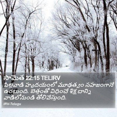 సామెత 22:15 TELIRV Bible Verse Image