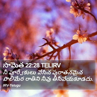 సామెత 22:28 TELIRV Bible Verse Image