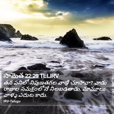 సామెత 22:29 TELIRV Bible Verse Image