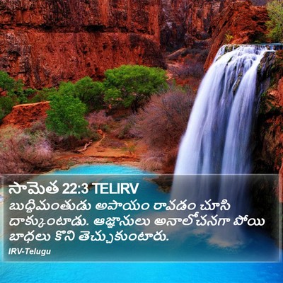 సామెత 22:3 TELIRV Bible Verse Image