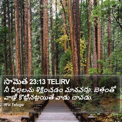 సామెత 23:13 TELIRV Bible Verse Image