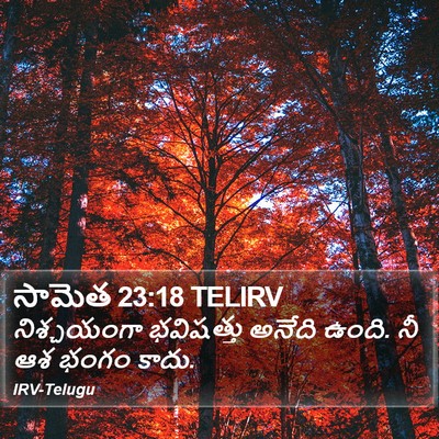 సామెత 23:18 TELIRV Bible Verse Image