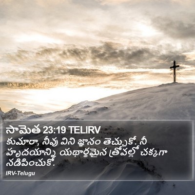 సామెత 23:19 TELIRV Bible Verse Image