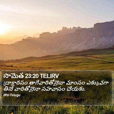 సామెత 23:20 TELIRV Bible Verse Image