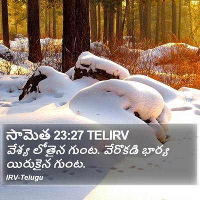 సామెత 23:27 TELIRV Bible Verse Image
