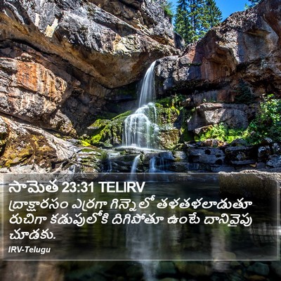 సామెత 23:31 TELIRV Bible Verse Image