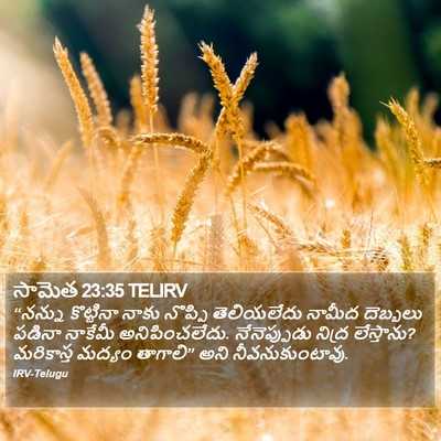 సామెత 23:35 TELIRV Bible Verse Image