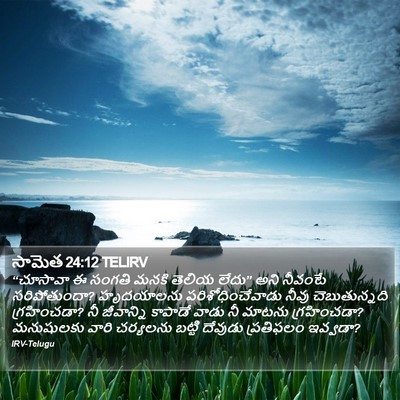 సామెత 24:12 TELIRV Bible Verse Image