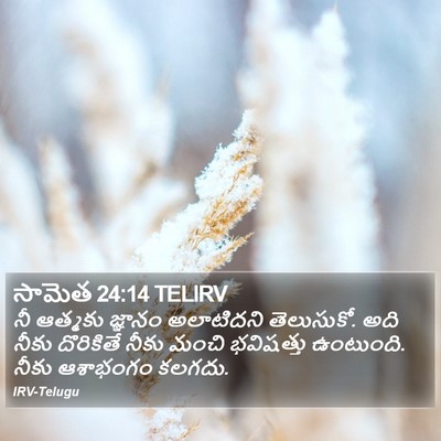 సామెత 24:14 TELIRV Bible Verse Image
