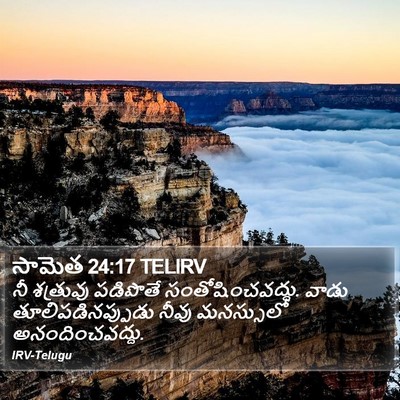 సామెత 24:17 TELIRV Bible Verse Image