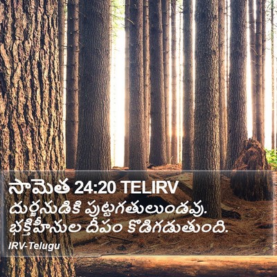 సామెత 24:20 TELIRV Bible Verse Image