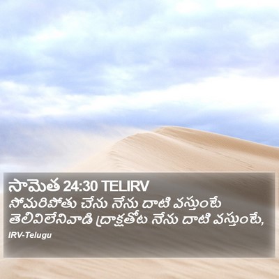 సామెత 24:30 TELIRV Bible Verse Image