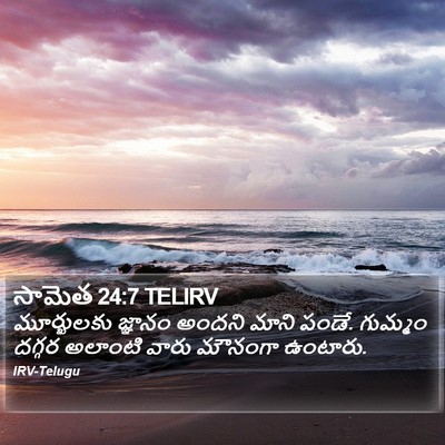 సామెత 24:7 TELIRV Bible Verse Image