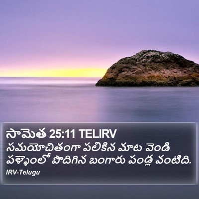 సామెత 25:11 TELIRV Bible Verse Image
