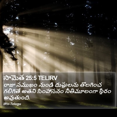 సామెత 25:5 TELIRV Bible Verse Image