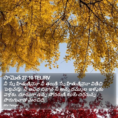 సామెత 27:10 TELIRV Bible Verse Image