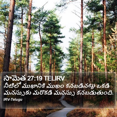 సామెత 27:19 TELIRV Bible Verse Image
