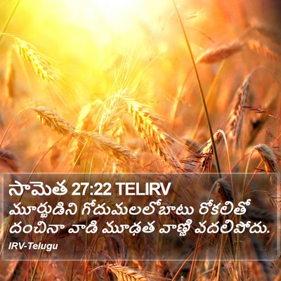 సామెత 27:22 TELIRV Bible Verse Image