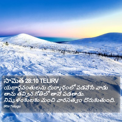 సామెత 28:10 TELIRV Bible Verse Image
