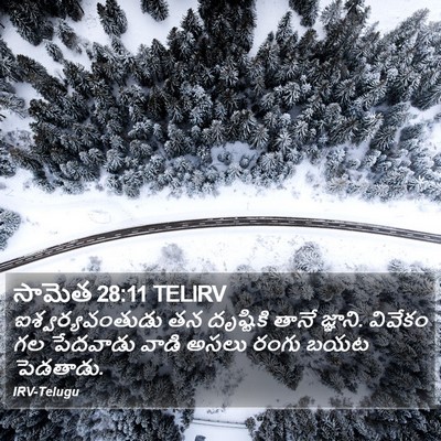 సామెత 28:11 TELIRV Bible Verse Image