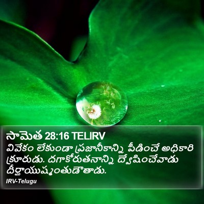 సామెత 28:16 TELIRV Bible Verse Image