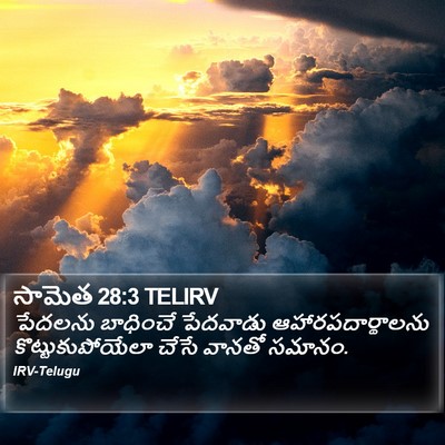 సామెత 28:3 TELIRV Bible Verse Image