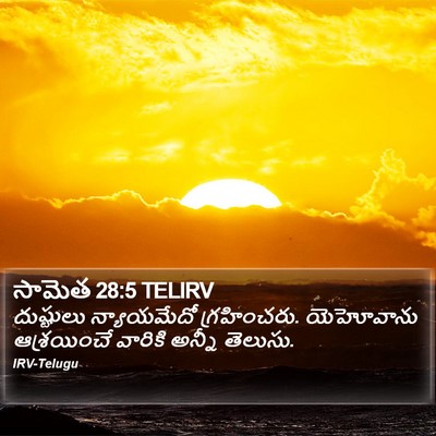 సామెత 28:5 TELIRV Bible Verse Image