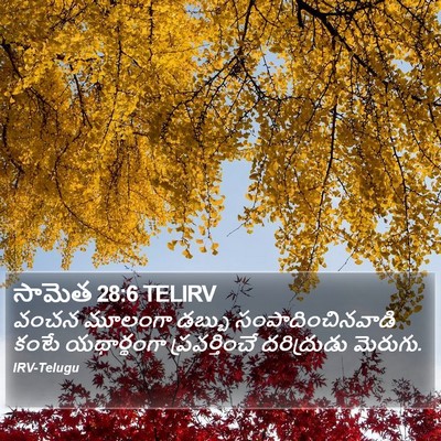 సామెత 28:6 TELIRV Bible Verse Image
