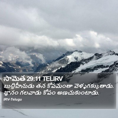 సామెత 29:11 TELIRV Bible Verse Image