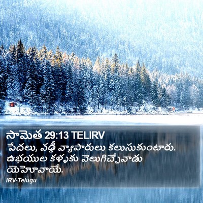 సామెత 29:13 TELIRV Bible Verse Image