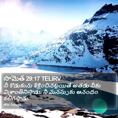 సామెత 29:17 TELIRV Bible Verse Image